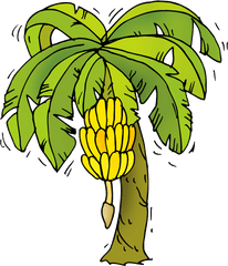 Banana Tree Cartoon Png - Banana Tree Clipart Png