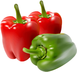 Paprika Png And Vectors For Free Download - Dlpngcom Red And Green Pepper Png