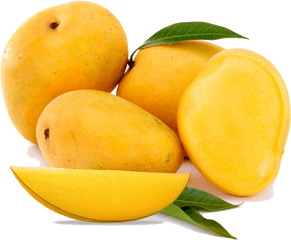 20 Mango Fruit Png Transparent Images