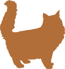 Maine Coon Cat Silhouette - Cat Silhouette Transparent Background Png