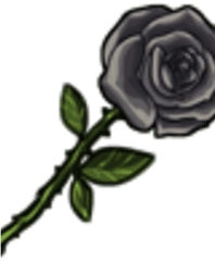 Roses - Floral Png