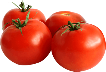 Tomato Png Transparent Images 10 - 1534 X 1072 Webcomicmsnet Tomato Images Hd Png