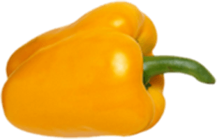 Sweet Pepper Yellow Bell Free PNG HQ