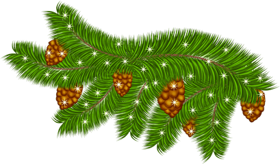 Leaf Clipart Pine Tree Transparent Free For Png Clip Art