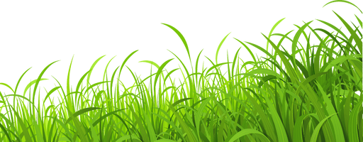 Fresh Lawn Wallpaper Grass Meadow Download HD PNG