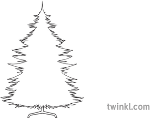 Christmas Tree Outline Black And White Illustration - Twinkl Sparrow Cartoon Images Drawing Png