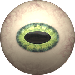 Reptile Eye Png 3 Image - Reptile Eye Png