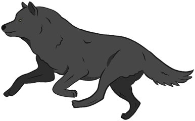 Wolf Predator Leg Tail Illustration - Wolf Png