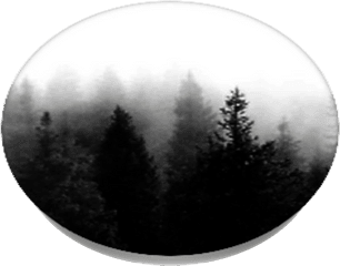 Download Dark Forest Popsockets - Christmas Tree Full Larch Png