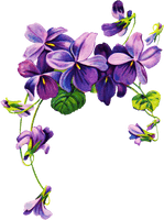 Violet Free Download - Free PNG