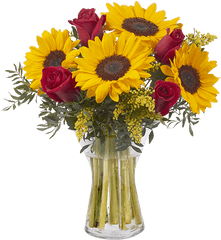 Download Hd Girasoles Y Rosas Rojas - Red Roses With Red Roses With Sunflowers Png