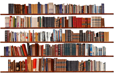 Bookshelf Isolated Transparent - Books On Bookshelf Png