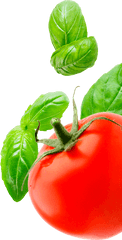 Tomato And Basil Png - Tomato And Basil Png