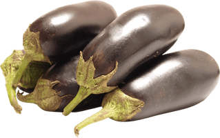 Eggplants Png Images Download