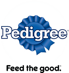 Pedigree The Adoptable Mask Case Study Site - Vertical Png