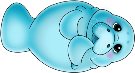 Manatee - Clip Art Png