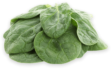 Baby Spinach Mccormack Family Farms - Spinach Png