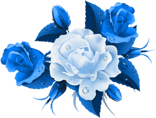 Blue Rose Png 1 Image - Flowers Rose Blue Png