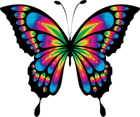 Butterflysymmetryartwork Png Clipart - Royalty Free Svg Png Clip Art Butterfly