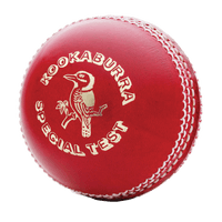 Cricket Ball Png Image