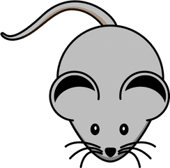 Lab Mouse Science Public Domain Image - Freeimg Clip Art Grey Mouse Png