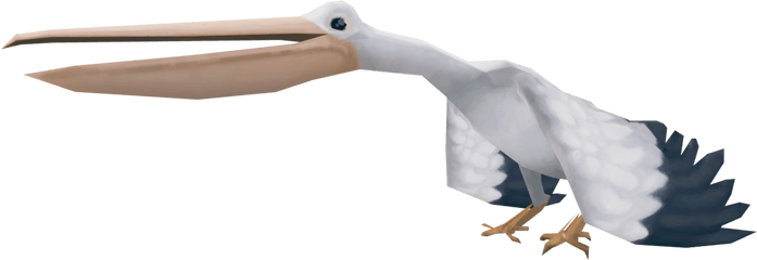 Pelican - White Stork Png