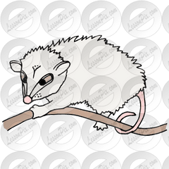 Lessonpix Mobile - Opossum Png