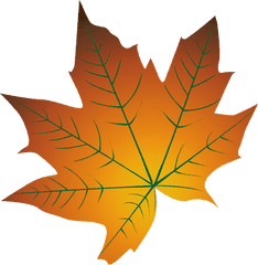 Download Hd Autumn Leaf Color Cartoon - Autumn Leaf Cartoon Transparent Png