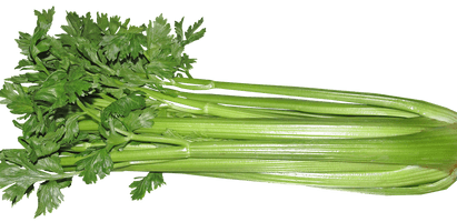 Celery Sticks Bunch Download HQ - Free PNG