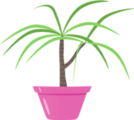 40 Free Succulent U0026 Cactus Vectors - Plant Png