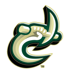 Charlotte 49ers Football Logo Png - Charlotte Football Logo