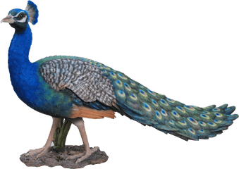 Download - Peacock Statue Png