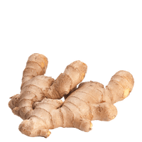 Galangal Free Clipart HD - Free PNG