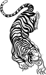 White Tiger Cut Out Png - 19326 Transparentpng Chinese Tiger Tattoo