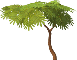 Woodcutting - Runescape Guide Runehq Fern Png