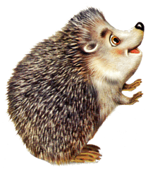 Cute Hedgehog Png Clipart Background - Hedgehog Color Pencil Drawing