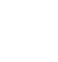 Hawaiian Flowers Png - White Hibiscus Flower Clipart