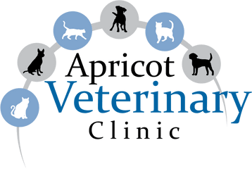 Veterinarian In Patterson Ca Apricot Veterinary Clinic - Ga In Bad Temper Png