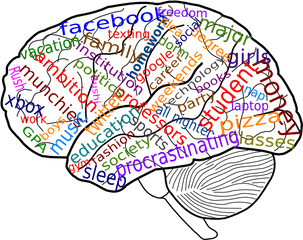 Download Brain Clip Art Clipartcow - College Brain Png