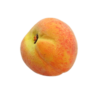 Apricot Picture Up Close PNG Image High Quality