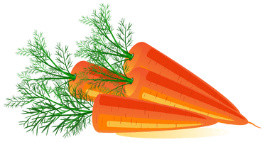 Carrot Png Image