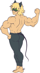 Adrien Agreste Muscle Hypertrophy Homo Sapiens Biceps - Chat Noir Muscle Growth Png