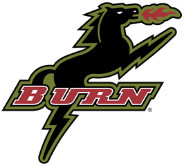 Burn Logo Png Transparent Svg Vector - Fc Dallas