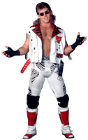 Shawn Michaels Png Image