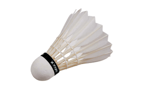 Badminton Birdie Photos - Free PNG