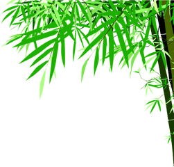 Green Bamboo High Definition Beauty Png - Bamboo Vector Hd Png