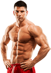 Muscle Png Images Free Download - Transparent Muscle Body Png