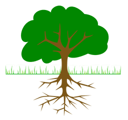 Planting Fruit Trees - Diagram Of A Tree Png