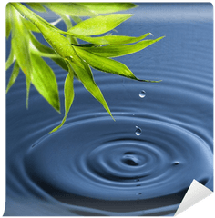 Fresh Green Bamboo Leaf With Water Drop - Drop Png