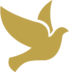 Cropped - Bird Icon Gif Png